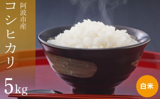 コシヒカリ 5kg 令和7年産 米 こめ ご飯 ごはん おにぎり 白米 精米 新米 卵かけご飯 食品 備蓄 備蓄米 保存 防災 ギフト 贈答 プレゼント お取り寄せ グルメ 送料無料 徳島県 阿波市 栗栖農園