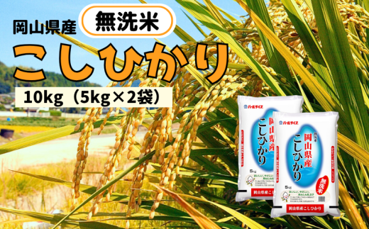 【令和7年産】無洗米 こしひかり 10kg 5kg×2袋 岡山県産 【先行予約 2025年10月上旬から順次発送】 2241264 - 岡山県新見市