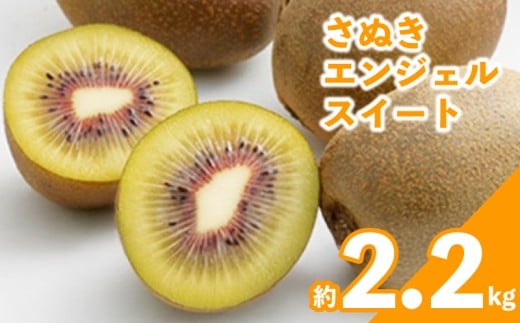 先行予約 キウイ 約2.2kg キウイフルーツ さぬきエンジェルスイート 果物 果実 フルーツ 旬 デザート 選べる 容量 11月上旬～12月上旬 配送 家庭用 贈答用 ギフト プレゼント 香川県 丸亀市 786678 - 香川県丸亀市