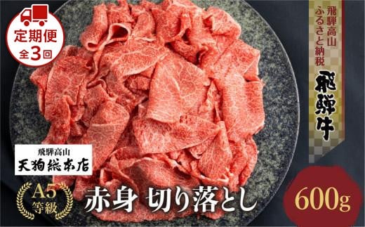 [定期便全3回]A5等級飛騨牛赤身 切り落とし 600g[日付指定不可]| ブランド牛 牛肉 和牛 雌牛 5等級 A5等級 切落し 薄切り 天狗総本店 飛騨高山