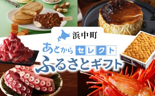 あとからセレクト[ふるさとギフト] 寄附5万円相当_H-gift005