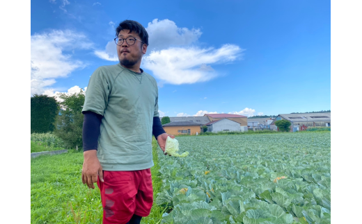 山梨県大月市のふるさと納税 【先行予約】富士山キャベツ　10kg