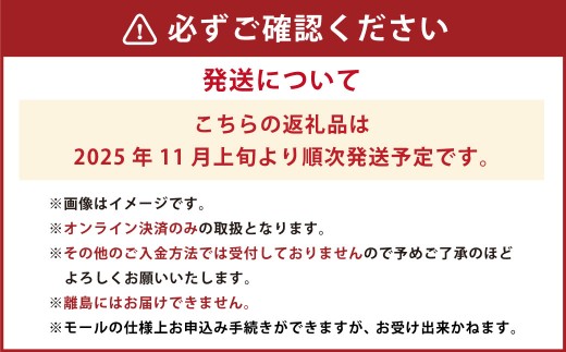 岡山県産 コールマン（冬ぶどう） 1房（約600g）