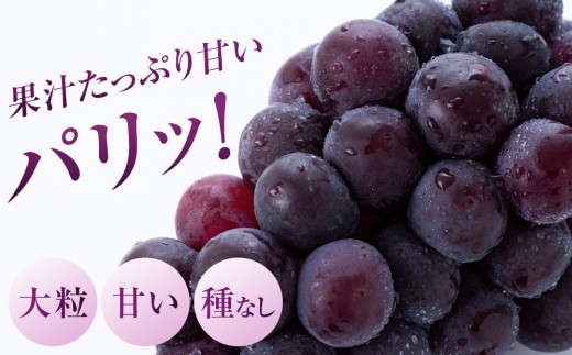 限定数800セット】ニューピオーネ 2kg 3～6房（ご家庭用）【岡山