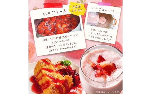 千葉県君津市のふるさと納税 完熟・急速冷凍いちご 4kg | 苺 いちご イチゴ 果物 フルーツ ふるーつ 冷凍 いちご れいとう イチゴ 果実 果汁 冷凍 冷凍食品 冷凍いちご 朝採り 完熟 新鮮 スムージー オススメ 千葉県 君津市 きみつ