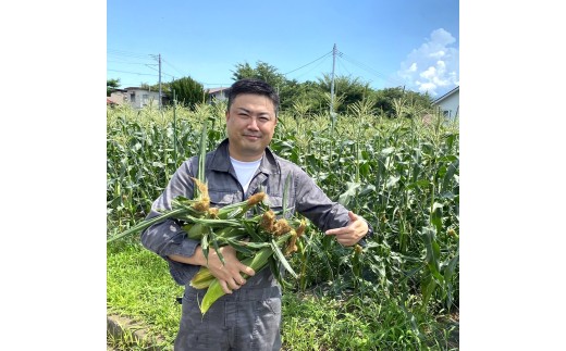 山梨県大月市のふるさと納税 【2026年収穫分先行予約】富士山 恵味ゴールド トウモロコシ　10本