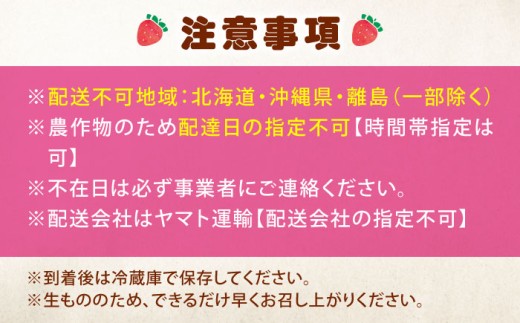 「紅ほっぺ」専門のいちご農園がお届け いちご 苺 イチゴ 果物 フルーツ 