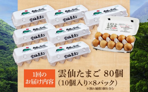 長崎県産 島原市 たまご 卵 玉子 タマゴ 鶏卵 オムレツ 卵かけご飯 朝食 料理 人気 卵焼き 定期便 6ヶ月 6か月