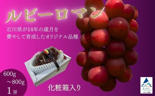 ルビーロマン ぶどう 葡萄 大粒 1房 600g～800g 贈答品【JA小松市】石川県 小松市