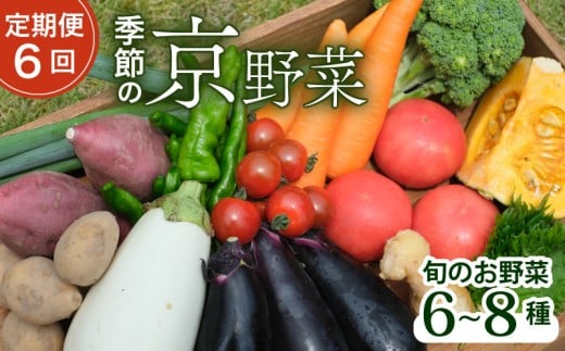 【定期便6回】【産地直送】旬のお野菜詰め合わせ 6～8種類 ( 京野菜 野菜 お野菜 やさい セット 野菜セット 詰め合わせ 詰め合わせセット 季節 旬 旬野菜 産地直送 栄養 安心 新鮮 おすすめ きよしファーム 南丹市 南丹 京都府 京都 )