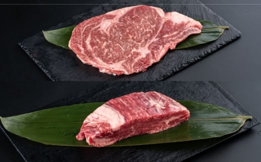 熊本県産 あか牛 ステーキ用ヒレ肉(約300g)、ロース肉(約400g) 計約700g / 牛肉 セット 国産 熊本県産 食べ比べ【合同会社 たべたせいか】[BHBY002] 2203150 - 熊本県菊陽町
