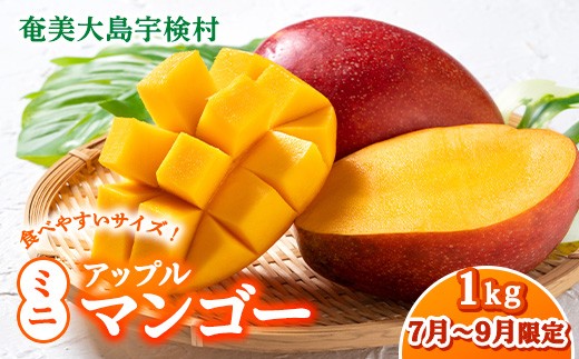 【2025年7月発送中】今が旬！ 完熟 アップル マンゴー ミニサイズ 1kg（8～10玉）モトキ農園 鹿児島県 奄美大島 宇検村 南国 マンゴー
