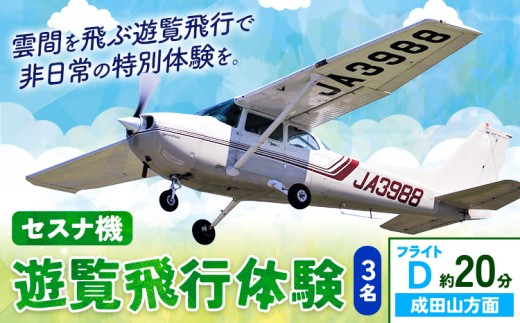 セスナ機遊覧飛行体験 3名 フライトD（約20分コース） 新中央航空株式会社《30日以内に出荷予定(土日祝除く)》茨城県 河内町 セスナ 飛行体験 1466939 - 茨城県河内町