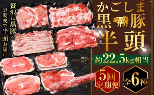 KSR-306-t 【5回定期便】かごしま黒豚半頭 約22.5kg 生産者直送 薩摩八重ファーム 工房みかく亭 1406980 - 鹿児島県薩摩川内市