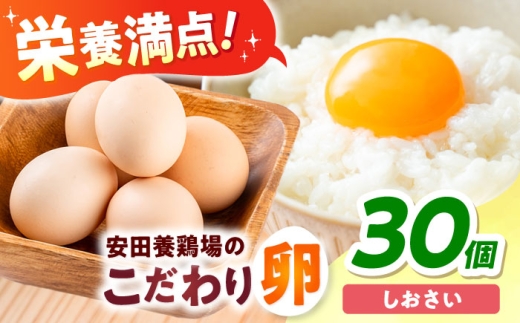 安田養鶏場の卵 しおさい 30個入り 横須賀市 産地直送 たまご 黄身 濃厚 卵 玉子 タマゴ 鶏卵  【安田養鶏場】 [AKHN001]