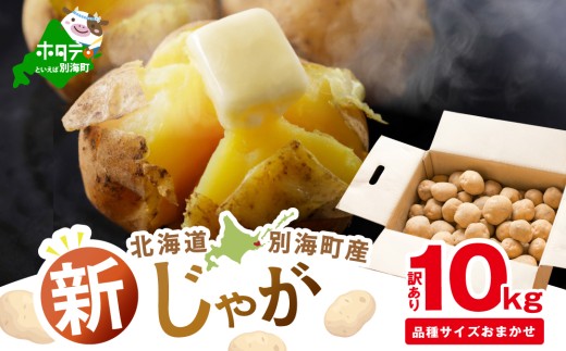 2025年10～12月発送 北海道別海町産 じゃがいも10kg (１種おまかせ) 【JV0000001】 (きたあかり、ワセシロ、男爵、メークイーン、レッドムーン）