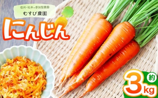 信州・むすび農園の人参 約3kg | 農薬不使用 化学肥料不使用 植物性肥料 無農薬 旬の野菜 野菜 やさい 人参 にんじん ヘルシー 健康 長野県 松本市 2330165 - 長野県松本市