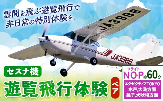 セスナ機遊覧飛行体験 ペア フライトN・O・P（約60分コース） 新中央航空株式会社《30日以内に出荷予定(土日祝除く)》茨城県 河内町 セスナ 飛行体験 1466930 - 茨城県河内町