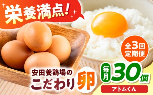 【全3回定期便】安田養鶏場の卵 アトムくん 30個入り 横須賀市 産地直送 たまご 黄身 濃厚 卵 玉子 タマゴ 鶏卵  【安田養鶏場】 [AKHN009]