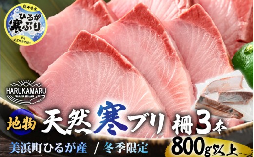 【先行予約】天然！地物！ひるがの寒ぶり 柵3本【合計800g以上】【2025年12月中旬以降順次発送予定】【ブランド 寒ブリ 寒鰤 かんぶり ぶり ブリ 鰤 ブリトロ ぶりとろ 新鮮 生食 刺身 海鮮丼 ぶりしゃぶ 日向 福井 冬の味覚 海鮮 冷凍 プレゼント】 [m36-b013] 1544997 - 福井県美浜町