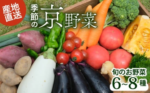 【産地直送】旬のお野菜詰め合わせ 6~8種類 ( 京野菜 野菜 お野菜 やさい セット 野菜セット 詰め合わせ 詰め合わせセット 季節 旬 旬野菜 産地直送 栄養 安心 新鮮 おすすめ きよしファーム 南丹市 南丹 京都府 京都 ) 2246886 - 京都府京都府庁