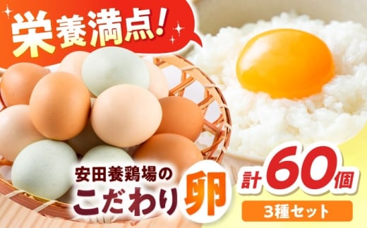 安田養鶏場の卵 3種セット しおさい アトムくん タフラン 60個入り（各20個入り） 横須賀市 産地直送 たまご 黄身 濃厚 卵 玉子 タマゴ 鶏卵  【安田養鶏場】 [AKHN007]