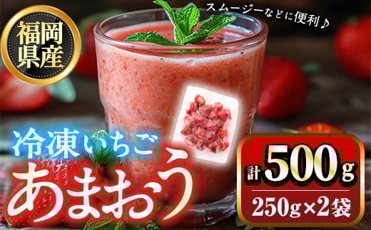 福岡県産 冷凍 あまおう(500g) 苺 いちご イチゴ ヨーグルト アイス シャーベット ジャム スムージー ＜離島配送不可＞【ksg1774】【木村食品】