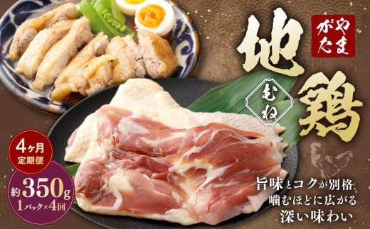 【4ヶ月定期便】 やまがた地鶏 むね 約350g 4回 計1.4kg 地鶏 ムネ肉 国産 お取り寄せ