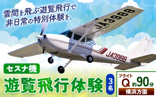 セスナ機遊覧飛行体験 3名 フライトQ（約90分コース） 新中央航空株式会社《30日以内に出荷予定(土日祝除く)》茨城県 河内町 セスナ 飛行体験 1466933 - 茨城県河内町