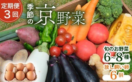 【定期便3回】【産地直送】旬のお野菜詰め合わせ 6～8種類 卵 6個付き ( 京野菜 野菜 お野菜 やさい セット 野菜セット 詰め合わせ 詰め合わせセット 季節 旬 旬野菜 産地直送 栄養 安心 新鮮 おすすめ たまご ネラ 放し飼い きよしファーム 南丹市 南丹 京都府 京都 )