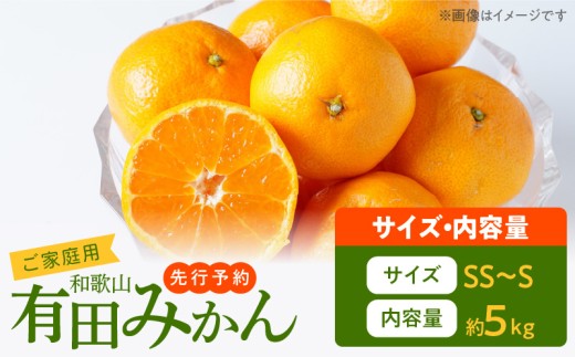 AT6323_【2025年先行予約】ご家庭用　旨味凝縮 有田みかん 約5kg (2S、Sサイズ)【湯浅町】