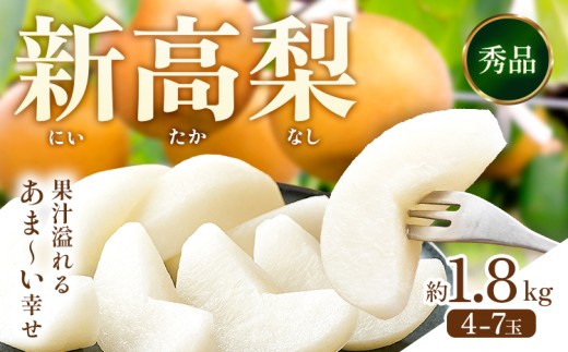 新高梨 約1.8kg(4~7玉) 日本フルーツ株式会社 《2025年9月上旬-10月末出荷》熊本県 荒尾市 新高梨 梨 果物 フルーツ スイーツ デザート ギフト ご贈答 2208875 - 熊本県荒尾市