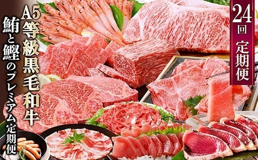 毎月2回(1年で24回)配送　盛りだくさんの贅沢定期便MM50-0001_ 肉 牛肉 豚肉 A5等級 黒毛和牛 サーロインステーキ 牛ホルモン もつ鍋 赤身ブロック 中トロ 【1586294】