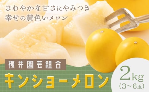 キンショーメロン 2kg(3～6玉) メロン《2026年4月上旬-7月上旬頃出荷》熊本県 菊池市 果物 フルーツ 金鐘 ノーネットメロン 黄色いメロン 菊池市産 熊本県産 九州産 送料無料