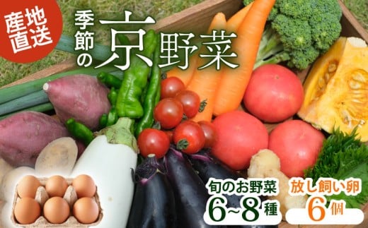 【産地直送】旬のお野菜詰め合わせ 6～8種類 卵 6個付き ( 京野菜 野菜 お野菜 やさい セット 野菜セット 詰め合わせ 詰め合わせセット 季節 旬 旬野菜 産地直送 栄養 安心 新鮮 おすすめ たまご ネラ 放し飼い きよしファーム 南丹市 南丹 京都府 京都 )