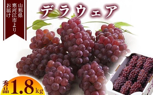 令和7年産 「デラウェア」約1.8kg (12-16房) 2025年産 秀品 種無しぶどう【2025年7月末頃から8月末頃発送予定】 012-B-MM010