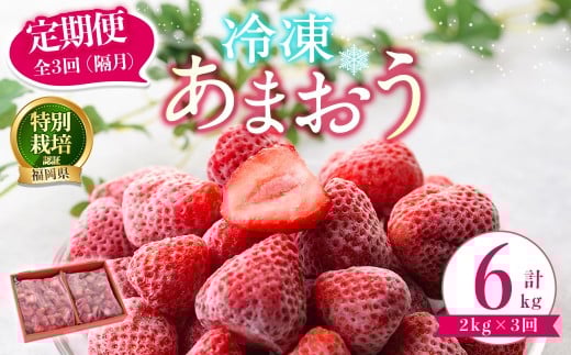 ＜全3回定期便(隔月)＞冷凍あまおう (計6kg:2kg×3回) いちご イチゴ 苺 あまおう 冷凍いちご 冷凍イチゴ 国産 福岡県 特別栽培 果物 フルーツ アイス ジャム 冷凍フルーツ ＜離島配送不可＞【ksg1786】【うるう農園】