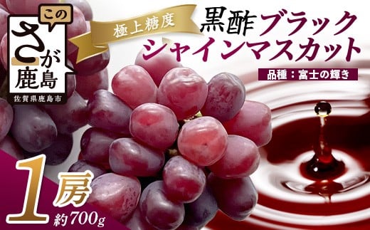 希少 ブラック シャインマスカット 富士の輝き 1房 約700g 【先行予約】【2025年8月下旬〜9月下旬発送予定】高糖度 ブラックシャインマスカット マスカット フルーツ 果物 ぶどう 新鮮 生産者直送 葡萄 佐賀県 鹿島市 送料無料 C-156