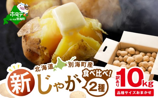 2025年10～12月発送 北海道別海町産 じゃがいも10kg (２種おまかせ)【JV0000003】 （きたあかり、ワセシロ、男爵、メークイーン、レッドムーン）