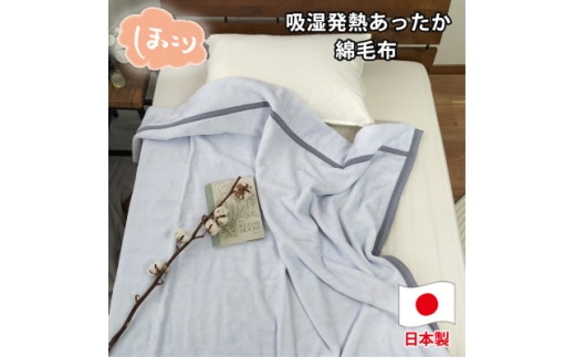 ＜シングルサイズ＞『ほっ』とするやさしい暖かさの綿毛布  SH-36902S【1644249】 2202371 - 大阪府和泉市