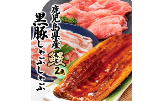 鹿児島W名物!鰻360g(180g×2尾)×黒豚しゃぶしゃぶ用(ロース/赤身)各180g　B4-7【1645667】 2196095 - 鹿児島県枕崎市