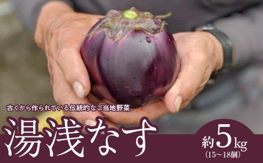 AW6106n_湯浅なす 約5㎏（15～18個）