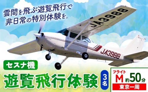 セスナ機遊覧飛行体験 3名 フライトM（約50分コース） 新中央航空株式会社《30日以内に出荷予定(土日祝除く)》茨城県 河内町 セスナ 飛行体験 1466929 - 茨城県河内町