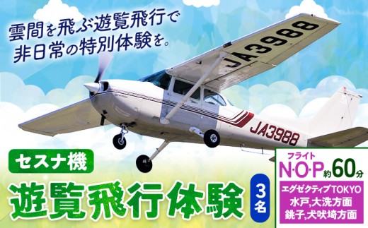 セスナ機遊覧飛行体験 3名 フライトN・O・P（約60分コース） 新中央航空株式会社《30日以内に出荷予定(土日祝除く)》茨城県 河内町 セスナ 飛行体験 1466947 - 茨城県河内町