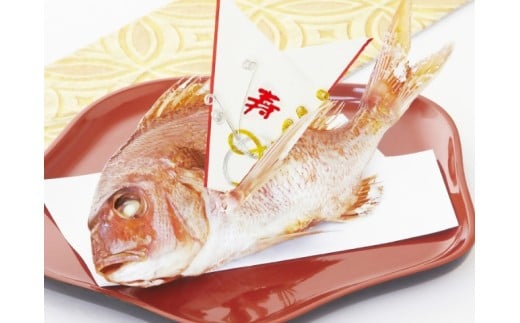 祝い鯛姿焼き 国産天然鯛 2187169 - 岐阜県岐阜県庁