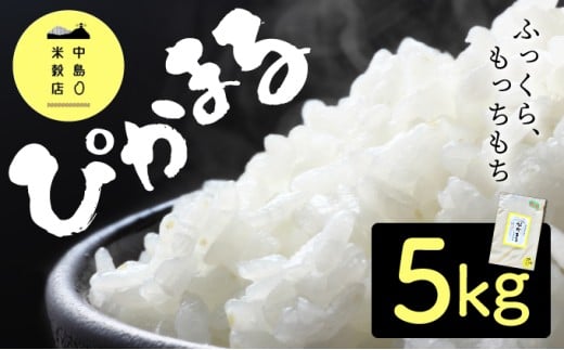 令和7年産 「超早場米」ぴかまる(5kg)[中島米穀店]