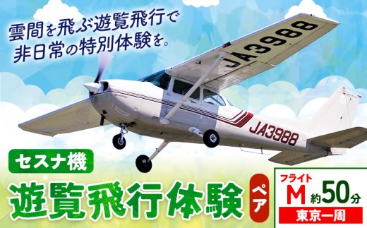 セスナ機遊覧飛行体験 ペア フライトM（約50分コース） 新中央航空株式会社《30日以内に出荷予定(土日祝除く)》茨城県 河内町 セスナ 飛行体験 1466932 - 茨城県河内町