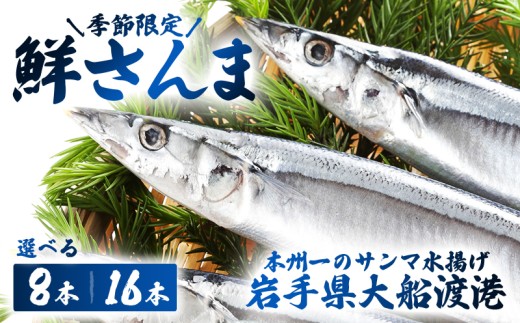 【季節限定】岩手県大船渡港からさんまを直送!