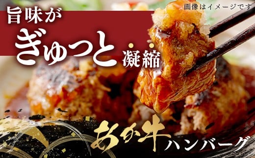 【GI認証】くまもと あか牛 ハンバーグ《ご家庭用》6個
