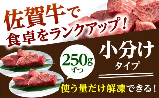 佐賀牛 A5 ヒレ サイコロステーキ 500g ( 250g×2パック ) 牛肉 ヒレステーキ 希少部位 フィレ フィレステーキ